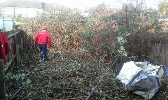 garden rubbish removal